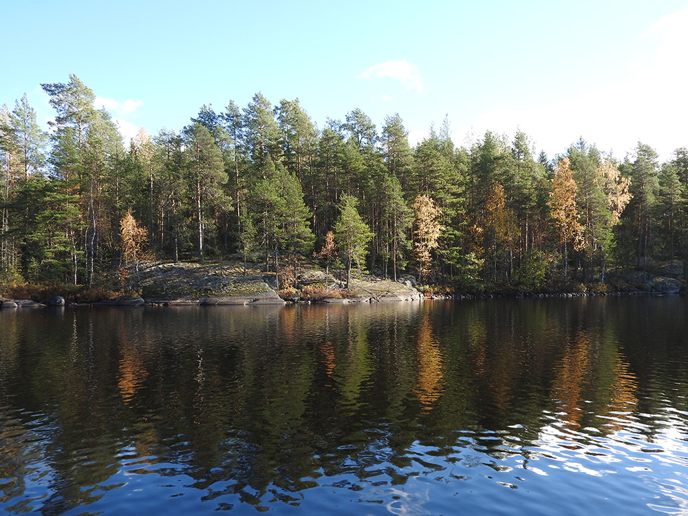 Puula, Kangasniemi